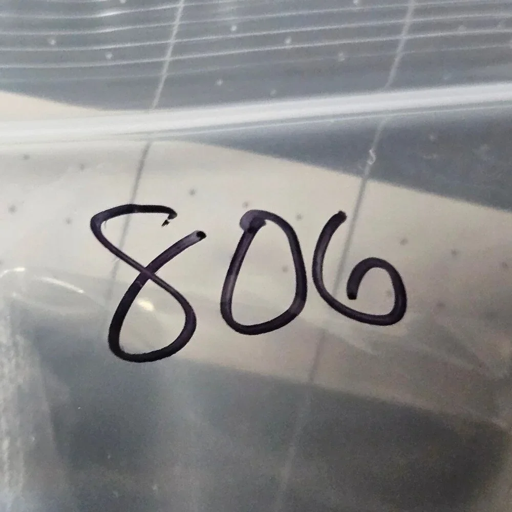 NWT STAUD Grey Ribbed Knit Tank Top Women’s L Minimalist Streetwear Quiet Luxury - Picture 7 of 11